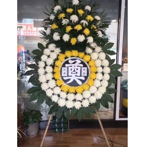 ���ڸ߷糤��-�ջ���Ҷ��������ͼ���ƣ����ֱ��1�ף������ԼΪ1.6������<����Ȧ>
