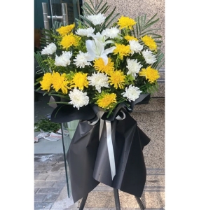 �����-�ջ����ٺϣ�ɢβҶ����ϣ�������»�������1.3������<���Ứ��>