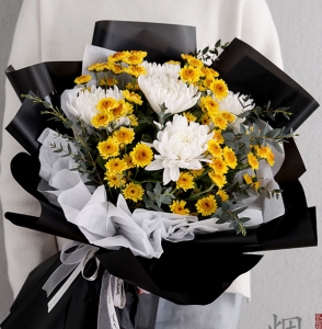 �׹黪��-11֦�ջ����仨����<���ݻ���>