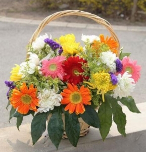 �������-�ջ������ʡ������ң���Ҷ��壬10*10CM����<���仨��>